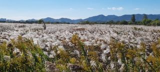 한밭농원님의 자유주제 · 자유게시판 작성글 사진