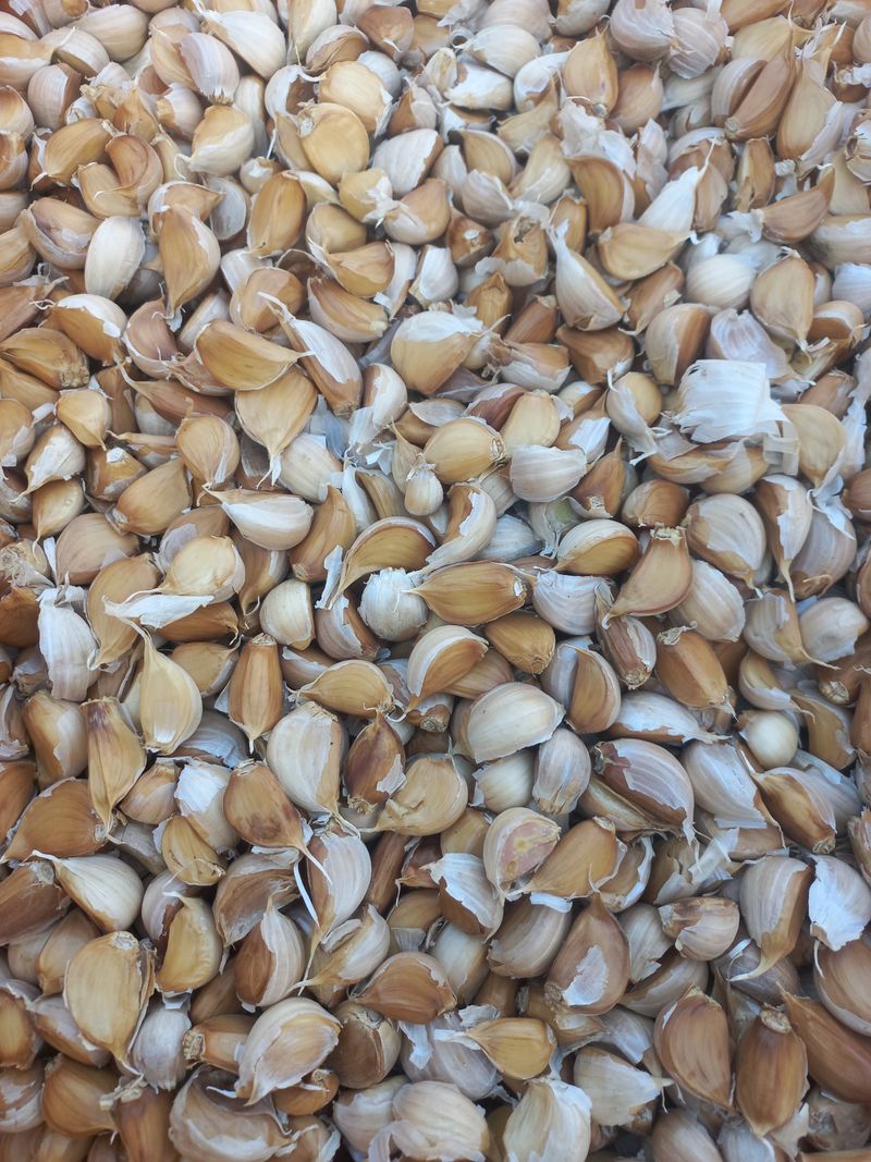 장터 상품 [홍산마늘 풋마늘용종자(1kg)] 썸네일