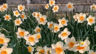 안재명님의 팜모닝 · 출석 작성글 사진