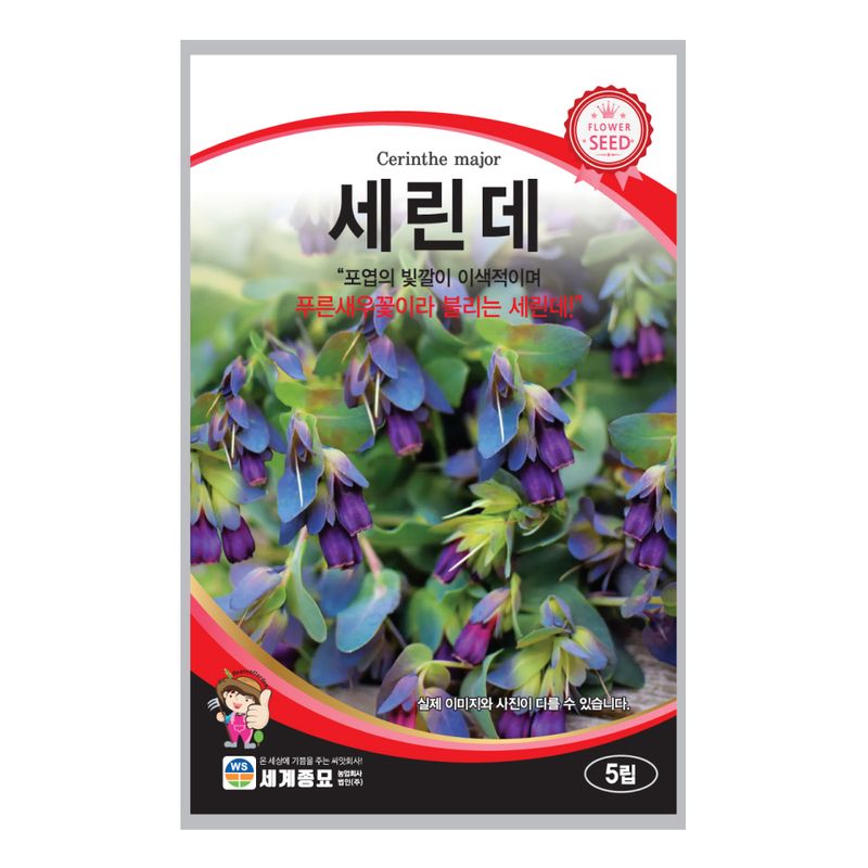 장터 상품 [[세계종묘] 세린데 (푸른새우꽃) 5립] 썸네일