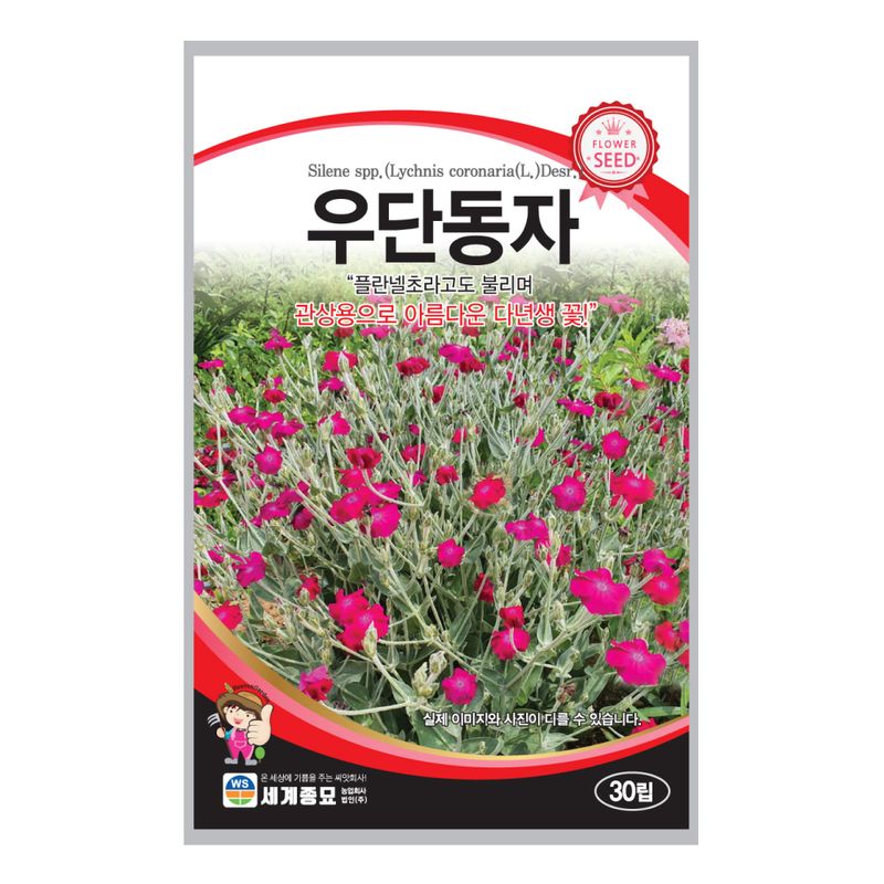 장터 상품 [[세계종묘] 우단동자 30립] 썸네일