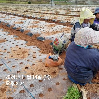 민들레님의 자유주제 · 자유게시판 작성글 사진