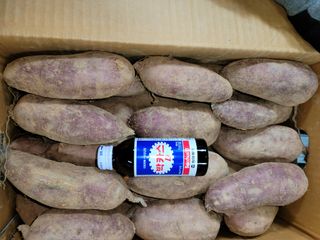 성산리농장(흑염소)님의 고구마 · 영농일지 작성글 사진