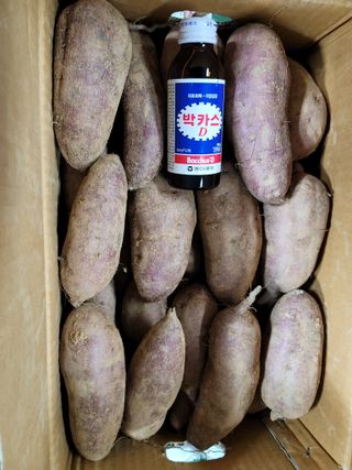 성산리농장(흑염소)님의 고구마 · 영농일지 작성글 사진