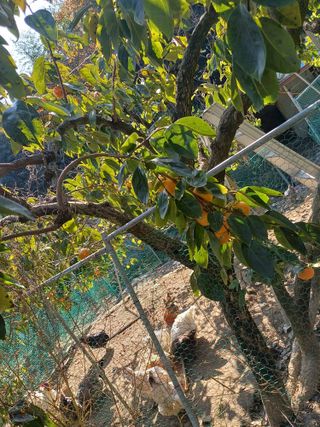 금돌비학님의 자유주제 · 자유게시판 작성글 사진