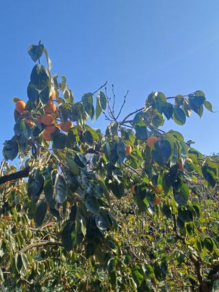 금돌비학님의 자유주제 · 자유게시판 작성글 사진