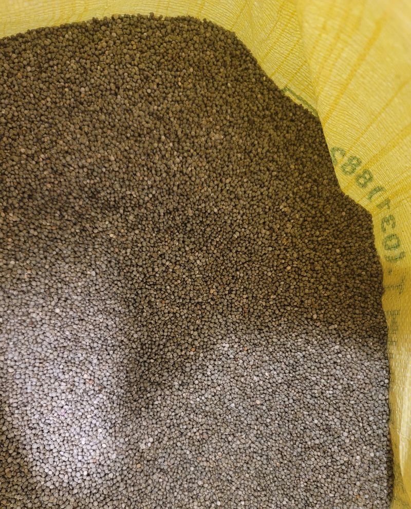 장터 상품 [들깨 5kg(판매종료)] 썸네일