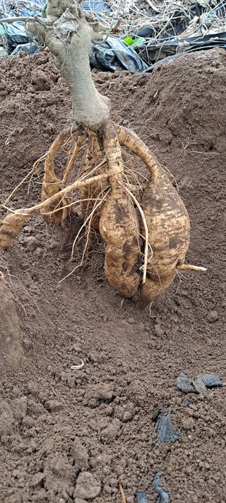 장준재님의 자유주제 · 자유게시판 작성글 사진