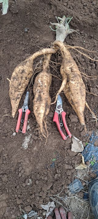 장준재님의 자유주제 · 자유게시판 작성글 사진