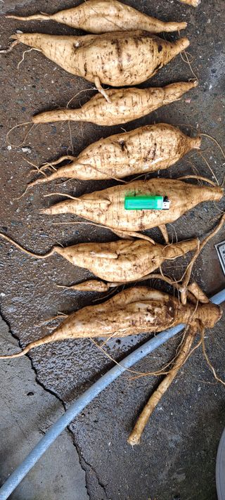 장준재님의 자유주제 · 자유게시판 작성글 사진