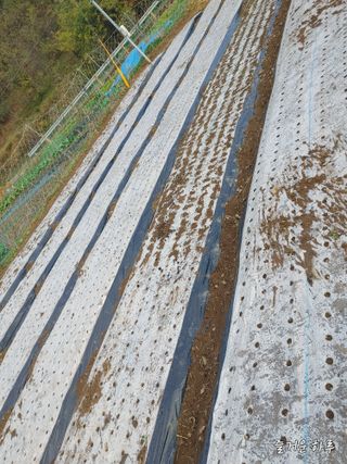 농부님.모두.모두힘님의 농사를 망친 작은 실수들 · 참여글 작성글 사진