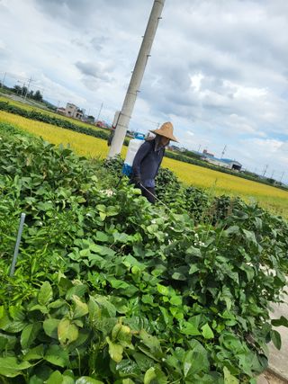 박순례님의 나에게 딱 한가지 능력이 생긴다면? · 참여글 작성글 사진