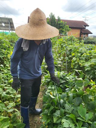 박순례님의 나에게 딱 한가지 능력이 생긴다면? · 참여글 작성글 사진