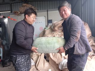 김낙교님의 자유주제 · 사진전 작성글 사진