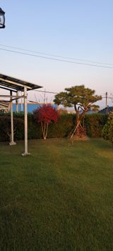 팜모닝 나에게 딱 한가지 능력이 생긴다면?·참여글 게시글 이미지