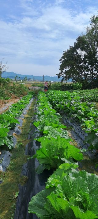 정진구님의 나에게 딱 한가지 능력이 생긴다면? · 참여글 작성글 사진