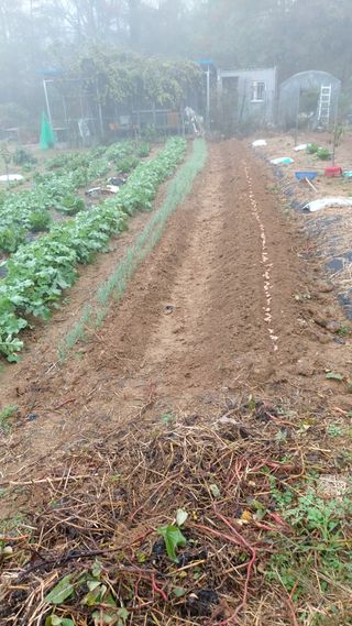 초보농부님의 자유주제 · 자유게시판 작성글 사진