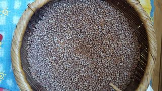 장수농장님의 나에게 딱 한가지 능력이 생긴다면? · 참여글 작성글 사진