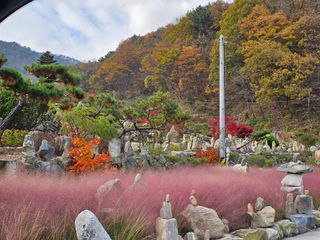 진재식님의 자유주제 · 자유게시판 작성글 사진