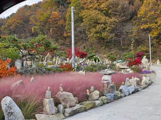 진재식님의 자유주제 · 자유게시판 작성글 사진