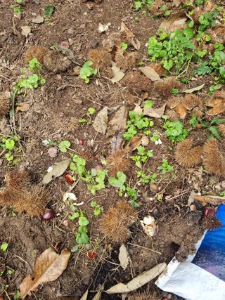 김종필님의 농사를 망친 작은 실수들 · 참여글 작성글 사진