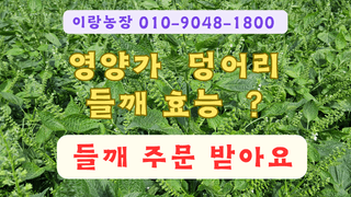 (이랑농장)김재한님의 작성글 사진