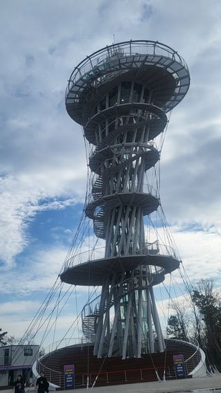 낙엽교목류22168님의 자유주제 · 자유게시판 작성글 사진