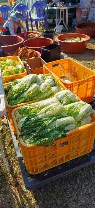 삼성농산님의 자유주제 · 자유게시판 작성글 사진