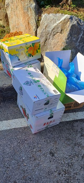 삼성농산님의 자유주제 · 자유게시판 작성글 사진