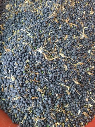 김창화님의 작성글 사진