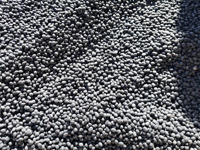 장터 상품 [서리태 (태청)] 썸네일