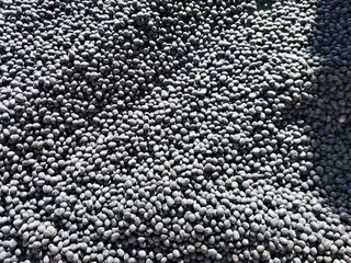 정택희님의 작성글 사진