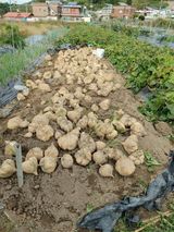 팜모닝 자유주제·사진전 게시글 이미지