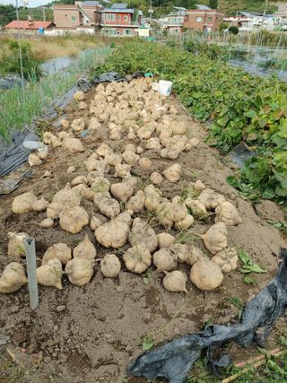 양배추15739님의 자유주제 · 사진전 작성글 사진