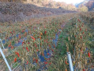 오영도님의 자유주제 · 자유게시판 작성글 사진