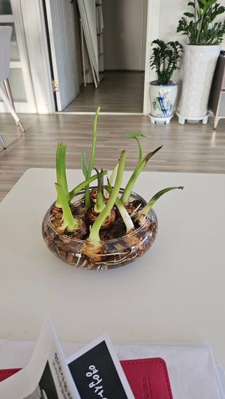 김제일주농장님의 자유주제 · 자유게시판 작성글 사진