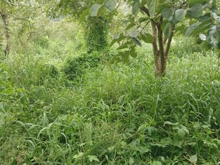 프리맨농부님의 나에게 딱 한가지 능력이 생긴다면? · 참여글 작성글 사진