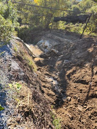 김응진님의 기타작물 · 영농일지 작성글 사진