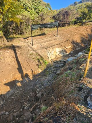 김응진님의 기타작물 · 영농일지 작성글 사진