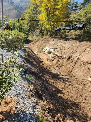 김응진님의 기타작물 · 영농일지 작성글 사진