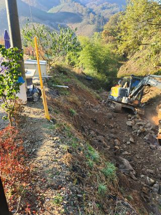 김응진님의 기타작물 · 영농일지 작성글 사진