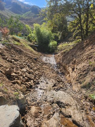 김응진님의 기타작물 · 영농일지 작성글 사진
