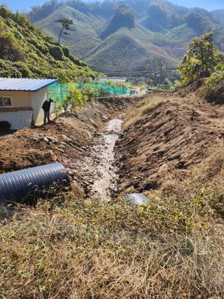 김응진님의 기타작물 · 영농일지 작성글 사진