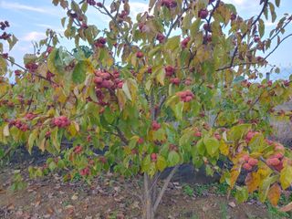 _고성농장님의 자유주제 · 자유게시판 작성글 사진