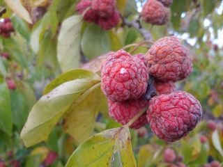 _고성농장님의 자유주제 · 자유게시판 작성글 사진