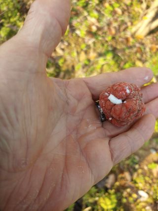 _고성농장님의 자유주제 · 자유게시판 작성글 사진