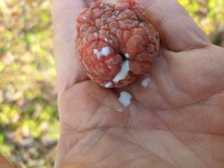 _고성농장님의 자유주제 · 자유게시판 작성글 사진