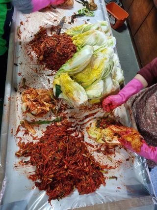 손병만님의 자유주제 · 자유게시판 작성글 사진