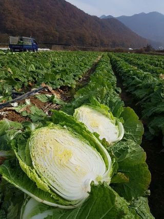 권오관님의 자유주제 · 자유게시판 작성글 사진