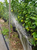 팜모닝 자유주제·자유게시판 게시글 이미지